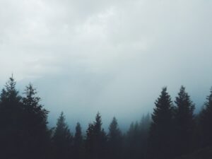 How Breathing Techniques Impact Stress Levels and Overall Respiratory Health in Modern Life