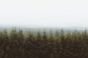 The Physiological Effects of Hyperventilation How Breathing Rapidly Impacts Blood Oxygen and CO2 Levels